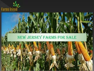 New Jersey Farms For Sale
