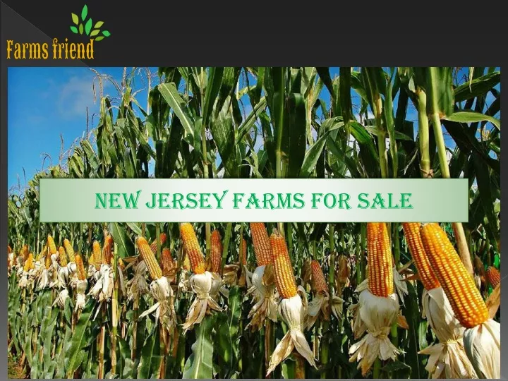 new jersey farms for sale