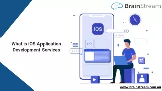What is iOS Application Development Services
