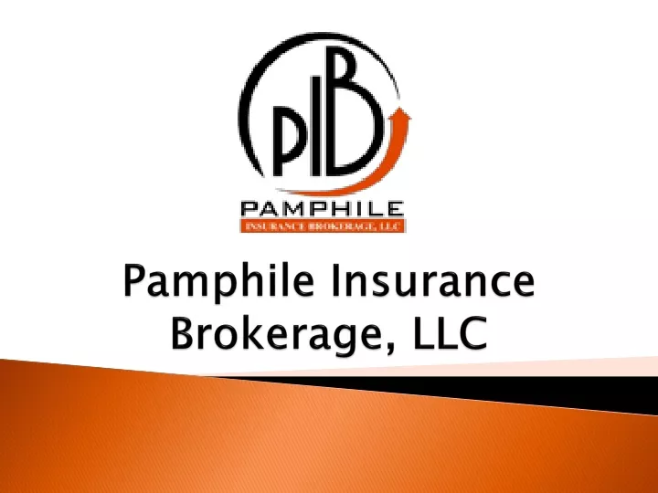 pamphile insurance brokerage llc
