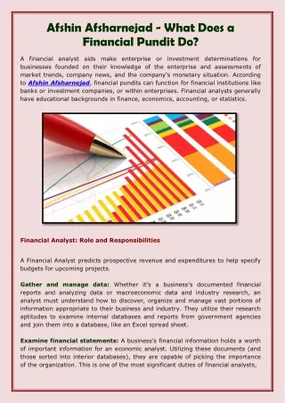 Afshin Afsharnejad - What Does a Financial Pundit Do-converted