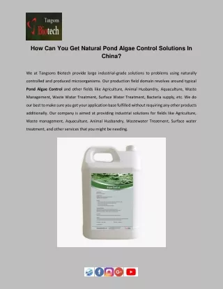 How Can You Get Natural Pond Algae Control Solutions In China_