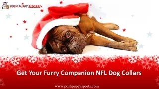 Get Your Furry Companion NFL Dog Collars