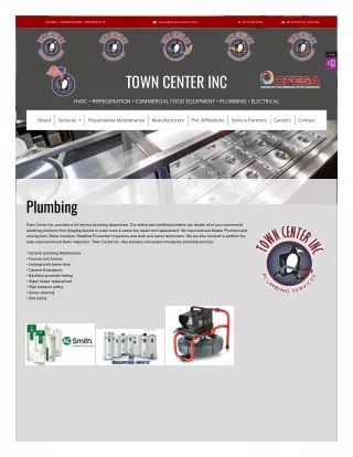 Town Center Inc. provides a plumbing services in  Michigan,