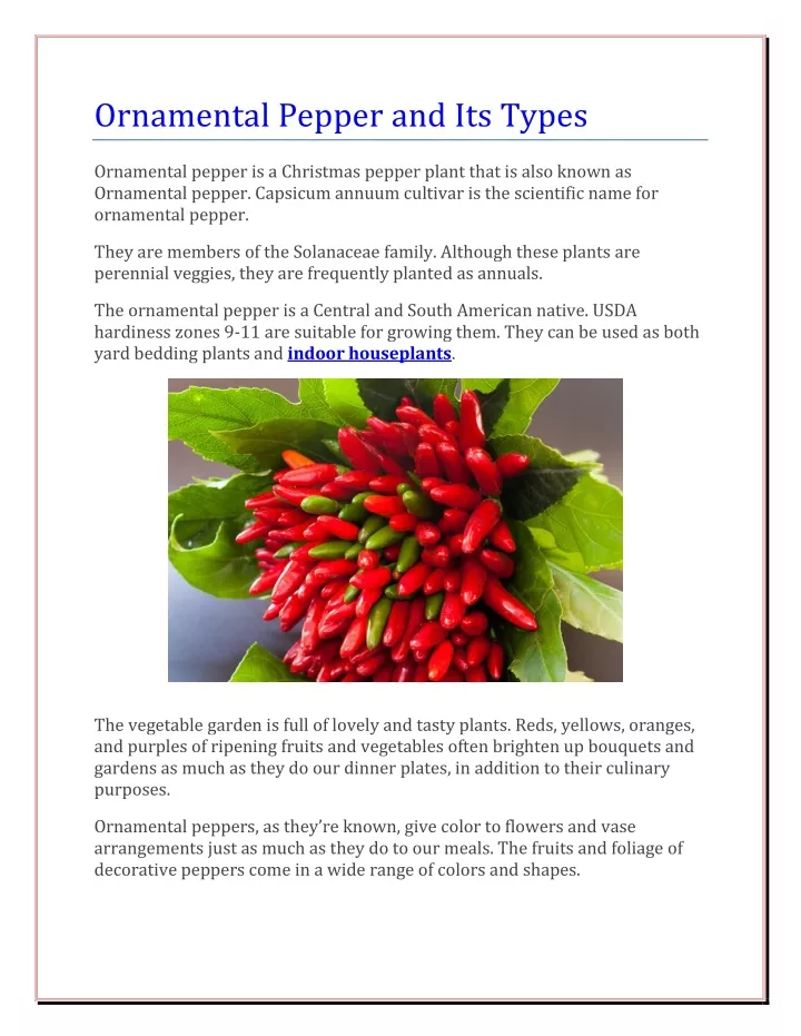 ornamental pepper and its types