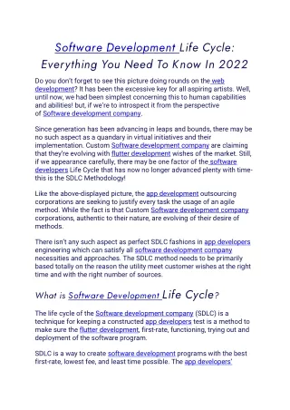 software development life cycle everything