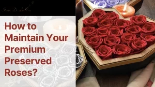 How to Maintain Your Premium Preserved Roses