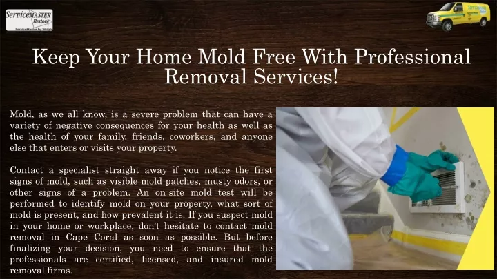 keep your home mold free with professional removal services