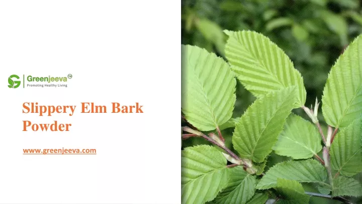 slippery elm bark powder