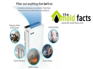 Air Purifiers For Allergies
