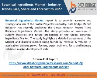 Botanical Ingredients Market 2020 Regional Analysis: Business Growth with Future