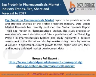 Egg Protein in Pharmaceuticals Market  2020- Analysis By Consumption, Demand