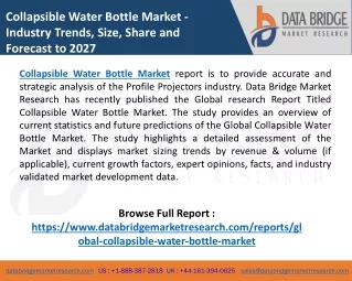Collapsible Water Bottle Market 2020 by Manufacturers, Regions, Type