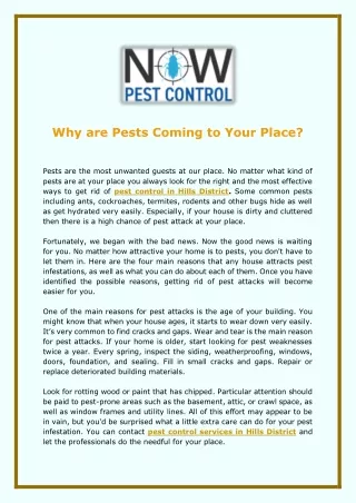 Why are Pests Coming to Your Place