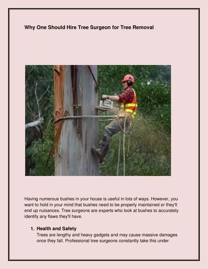 why one should hire tree surgeon for tree removal