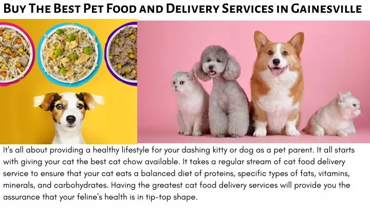 buy the best pet food and delivery services