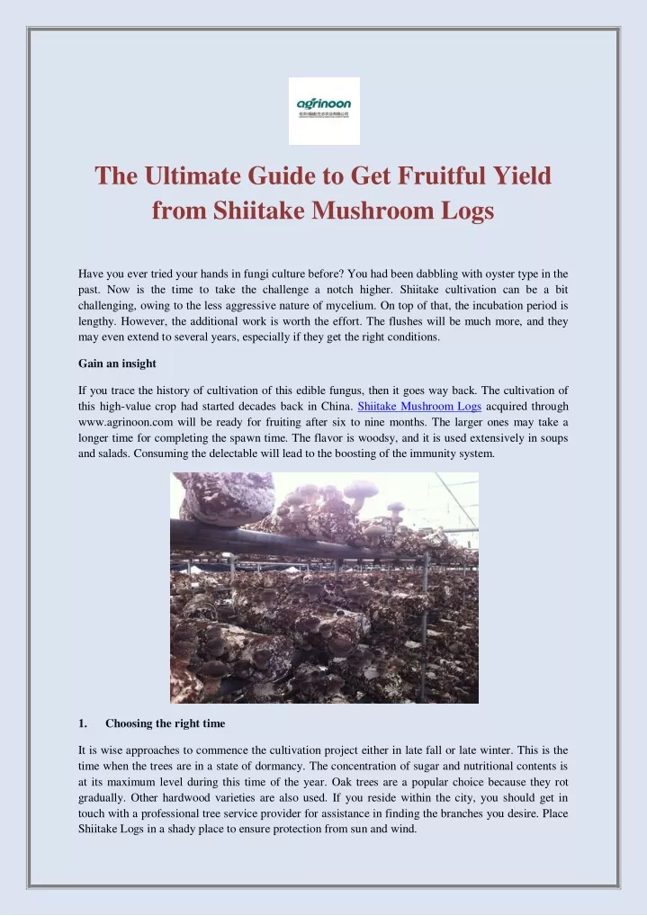 the ultimate guide to get fruitful yield from