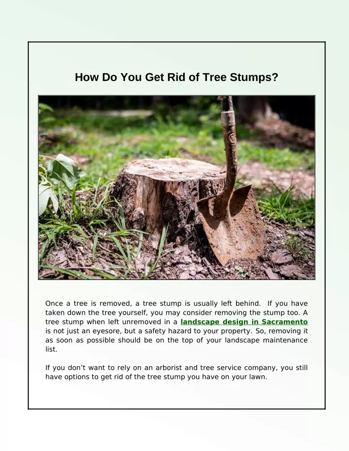 how do you get rid of tree stumps