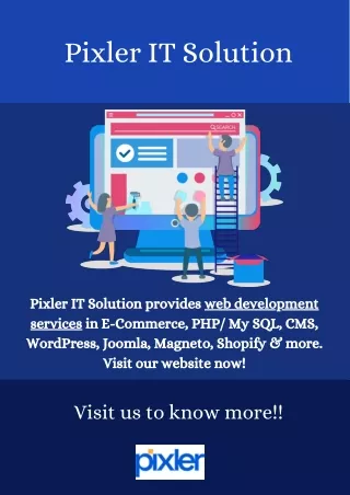 Pixler IT Solution - Web Development Company in India