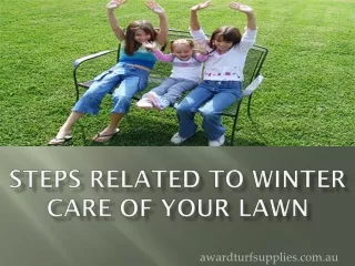 Steps Related To Winter Care Of Your Lawn