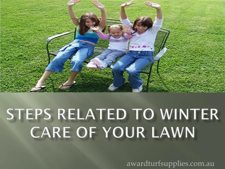 steps related to winter care of your lawn