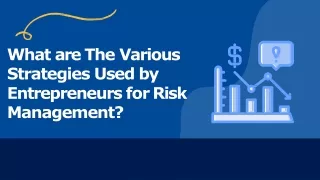 What are The Various Strategies Used by Entrepreneurs for Risk Management