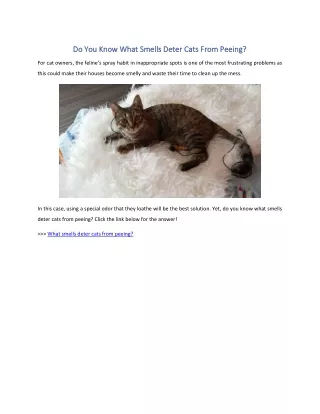 Do You Know What Smells Deter Cats From Peeing
