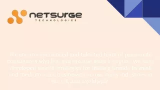 we are an experienced and talented team