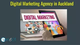digital marketing agency i n auckland
