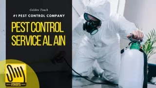 Pest Control Services in Al Ain