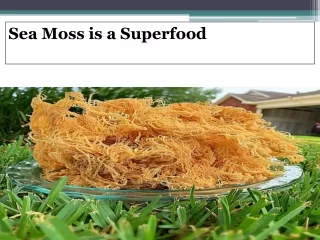 Sea Moss is a Superfood