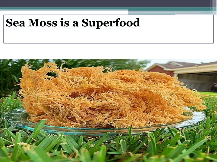 sea moss is a superfood
