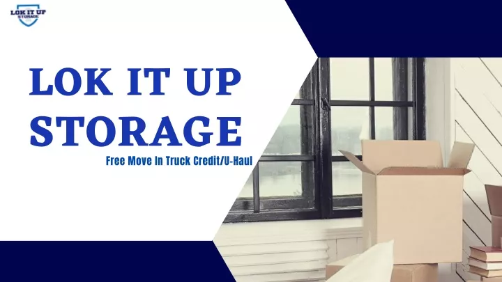 lok it up storage