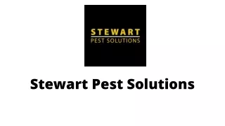 Pest Control in St. Johns USA
