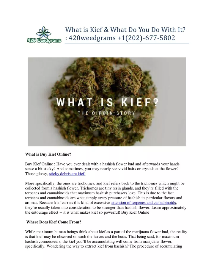 what is kief what do you do with it 420weedgrams