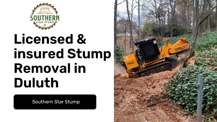 licensed insured stump removal in duluth