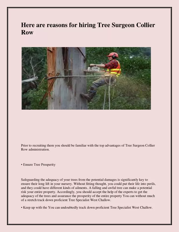 here are reasons for hiring tree surgeon collier