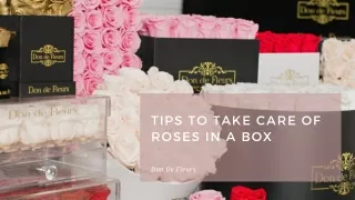 Tips to take care of roses in a box