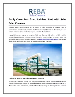 easily clean rust from stainless steel with reba