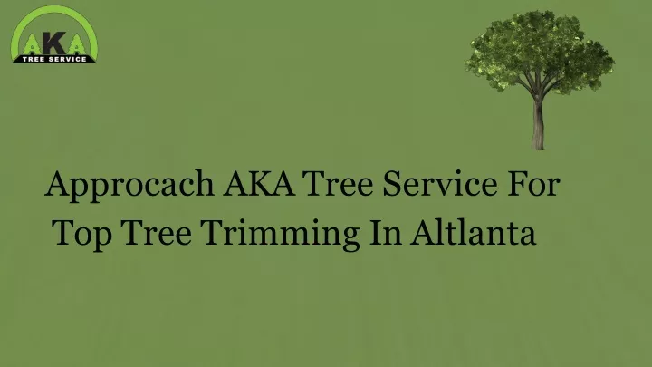 approcach aka tree service for top tree trimming in altlanta