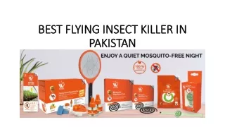 Best Flying Insect Killer in Pakistan