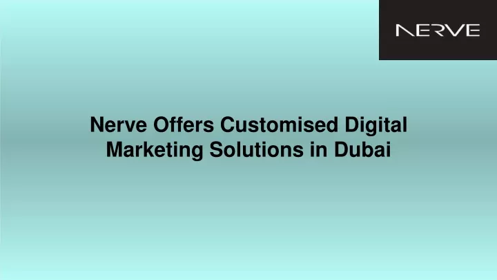 nerve offers customised digital marketing