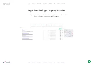 Digital Marketing Company India _ Digital Marketing Agency India _ Digital Marketing Firm India_5