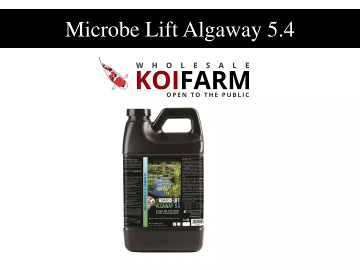 microbe lift algaway 5 4