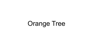 Orange Tree