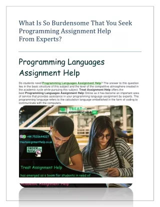 What Is So Burdensome That You Seek Programming Assignment Help From Experts-converted