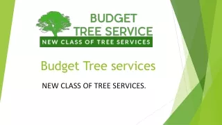 Budget Tree Services Are Available In CA