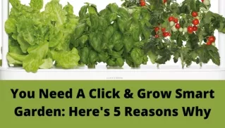 You Need A Click & Grow Smart Garden- Here's 5 Reasons Why