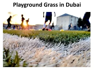 playground grass in dubai