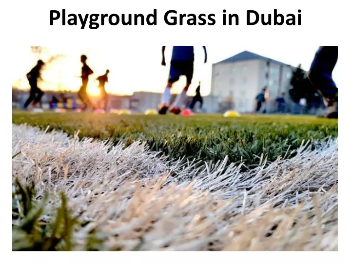 playground grass in dubai